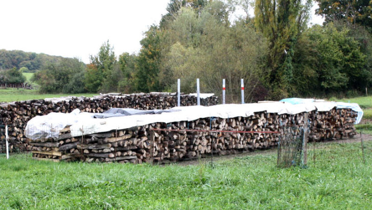 Holz richtig einlagern