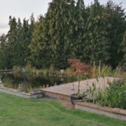 großer Teich für den Garten