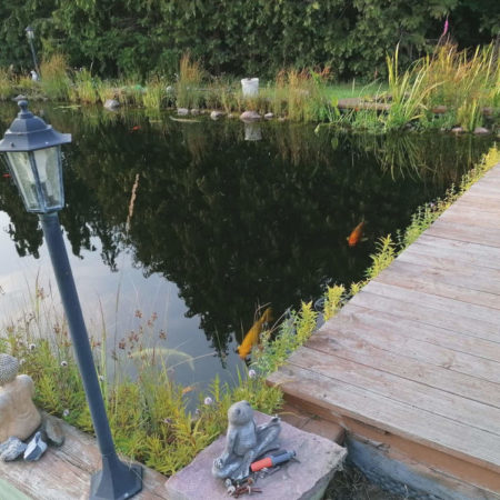 Teich für den Garten Tipps zu Teich, Gartenteich, Teichbau & Teichpumpe