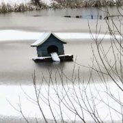 Welche Teichpflege im Winter?