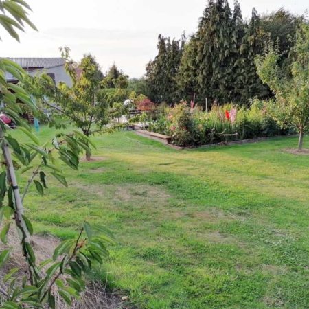 59+ Garten Grundstücke Kaufen, Wenn sie ein haus bauen, einen garten