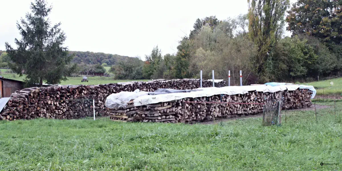 Mit Plane Brennholz abdecken – nicht vollständig!